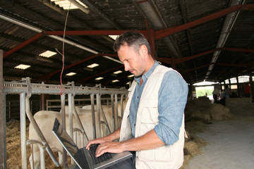 Fototapeta na wymiar Hodowca w stodole z laptopa