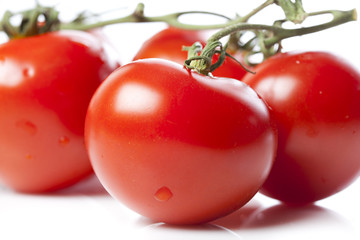 Red tomatoes on a white background