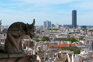 Chimera overlooking the Montparnasse Tower, Paris