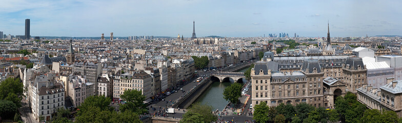 View of Paris from Notre Dame. Eiffel tower. France