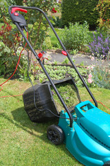 Fototapeta premium grass cuttings