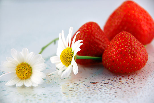 「Sommerfrucht」の画像 - 1,279 件の Stock 写真、ベクターおよびビデオ | Adobe Stock