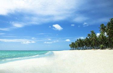 Tropical Beach in Brazil with White Sand
