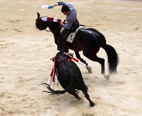 corrida a cheval