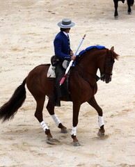 corrida a cheval