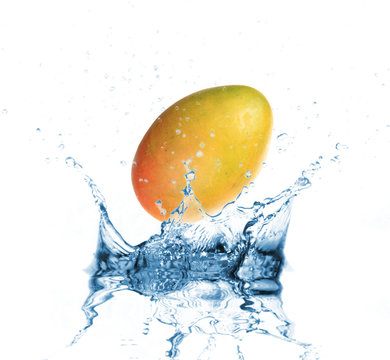 Mango Dropped Into Water Splash On White