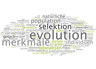 Evolution