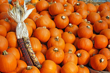 Pile of pumpkins