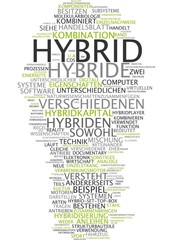 Hybrid