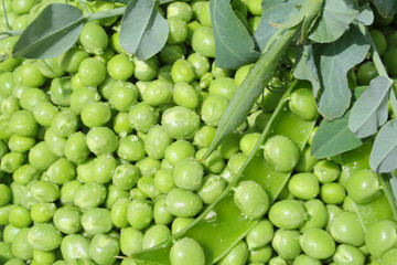green peas