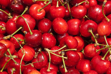 cherry