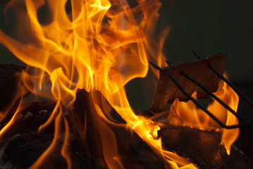 Fototapeta premium fire