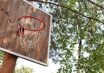 Баскетбольгое кольцо на сосне © pavelmoscow
