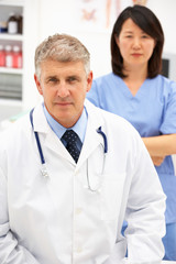 Fototapeta premium Portrait of medical professionals