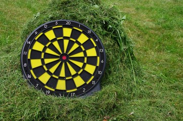 Dart na trawie