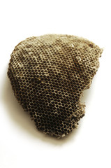Colmena