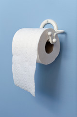 Toilet paper on holder