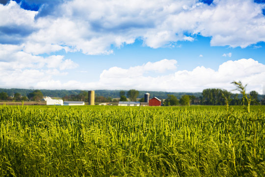 Field With Blurry Farm Buildings In The Background