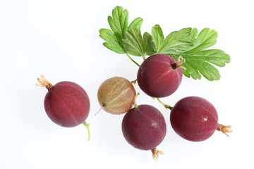 cinque,acini,uva spina,golosa