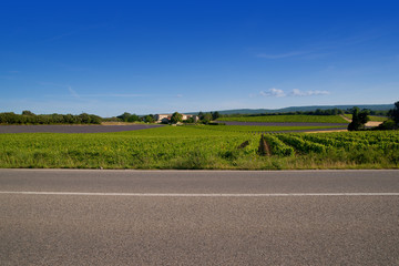 paysage provençal