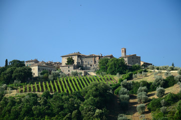 Fototapeta na wymiar Castelnuovo dell'Abate (Toskania)
