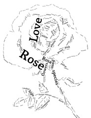 Rose Flower - Abstract Design