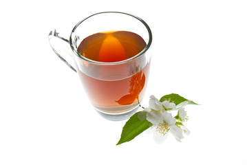 tea with jasmine flowers isolated on white