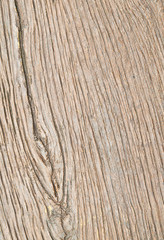 Wood Texture