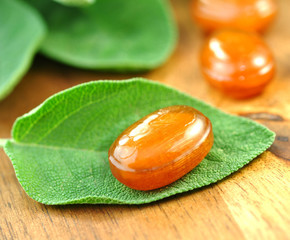 Salbeibonbons