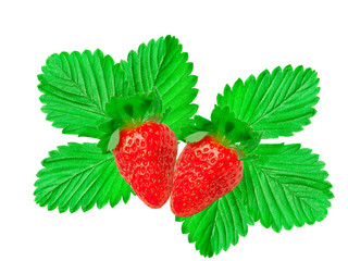 strawberry isolated on white background