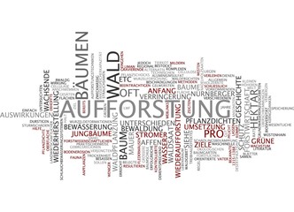 Aufforstung