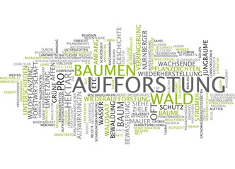 Fototapeta premium Aufforstung