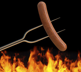 Hot Dog