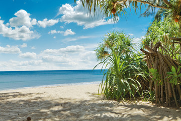 Fototapeta premium tropic view