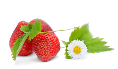 strawberries with leaves