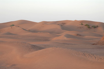 Fototapeta na wymiar africa, marocco, deserto