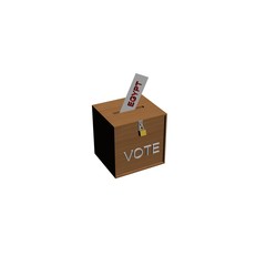 box voting egypt