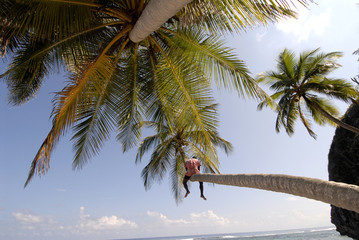 repubblica dominicana, santo domingo