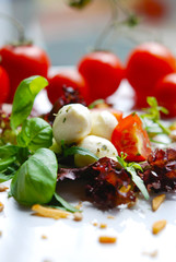 salat - tomaten - mozzarella