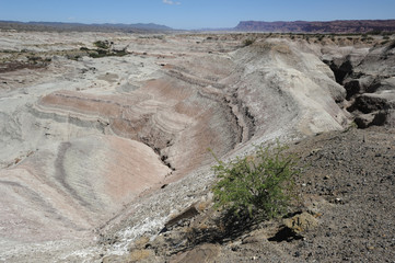 Parco Naturale di Ischigualasto: valle pintado