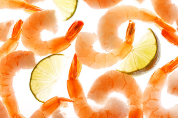 shrimps on the white