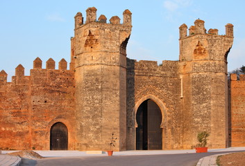 Fototapeta na wymiar Chellah - ruiny rzymskich budowli w Maroko, Rabat