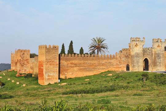 Chellah - ruins of roman buildings in Morocco, Rabat