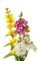 Wild flowers