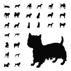dog silhouette collection