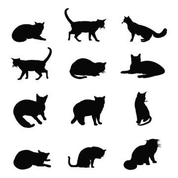 cat silhouette collection
