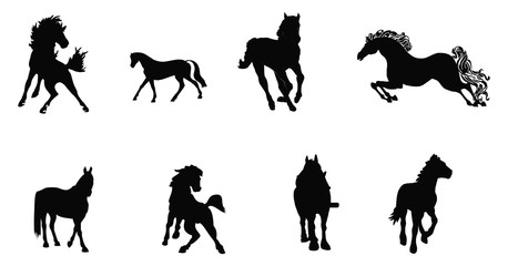 horse silhouette collection - obrazy, fototapety, plakaty