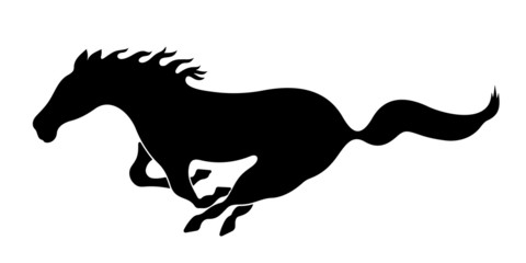 Obraz na płótnie Canvas Wild Horse stencil image