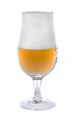 glass of beer