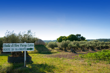 vente d'huile d'olives